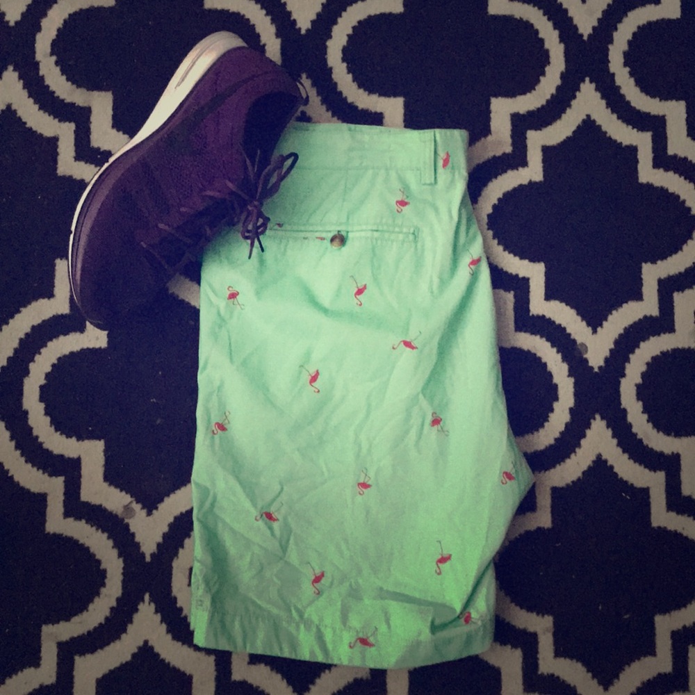 Men’s Flamingo Print Chino Shorts